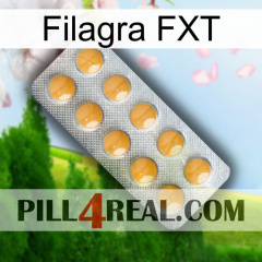 Filagra FXT levitra1